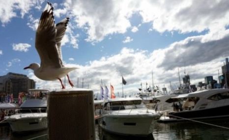 悉尼举办第47届国际游艇展